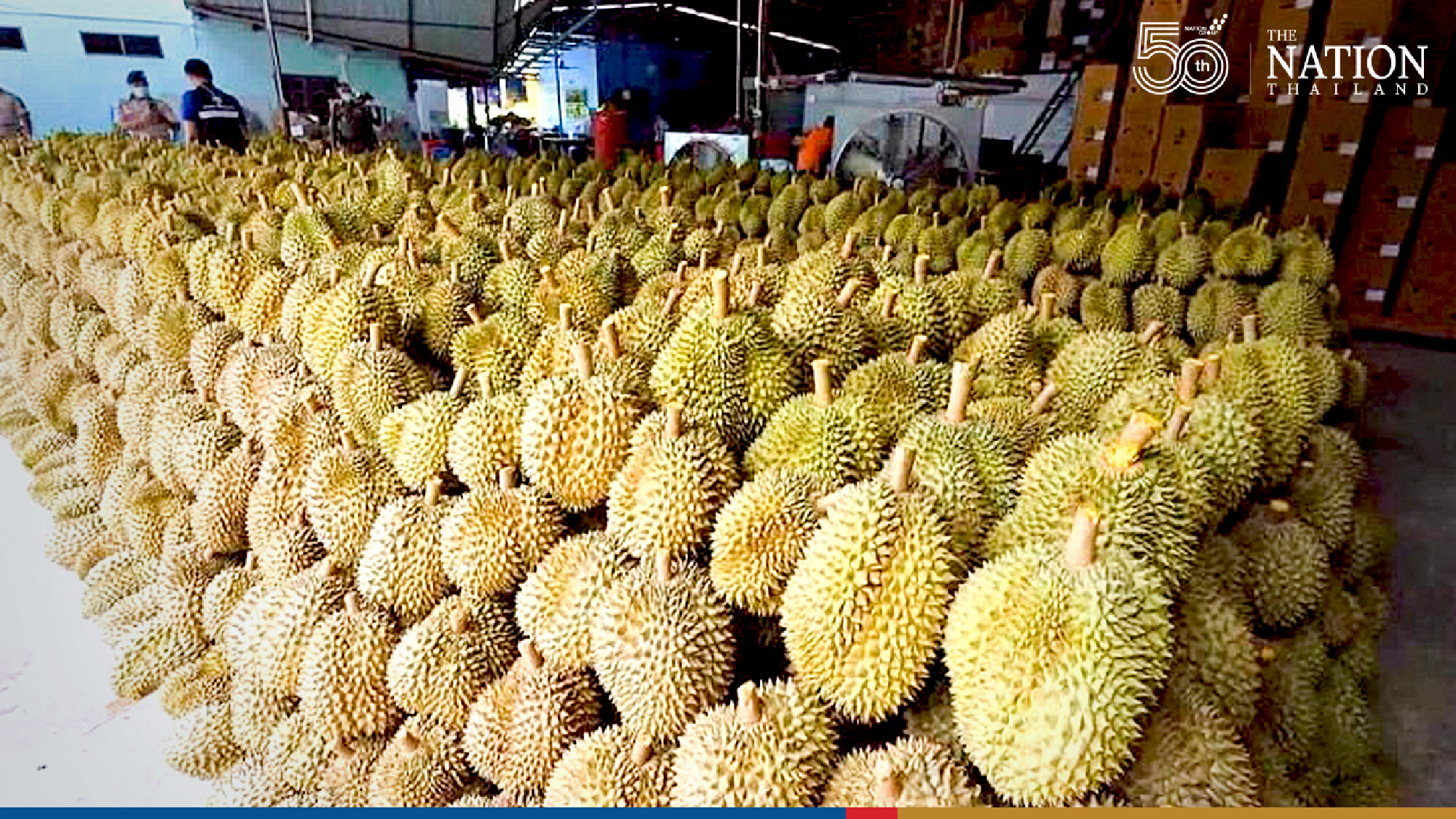 Exporter selling counterfeit Thai durian to China arrested in Chanthaburi