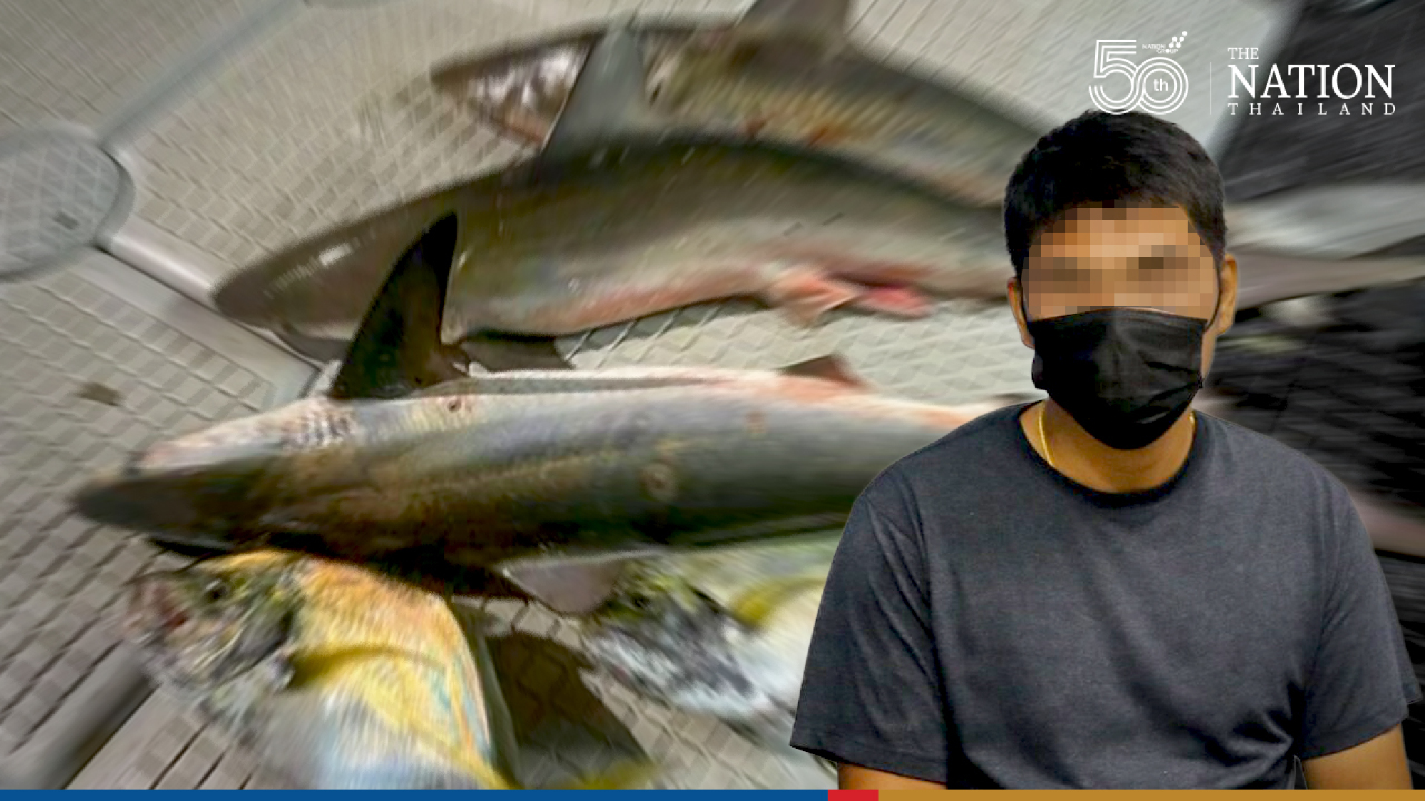 Two ‘shark killers’ nabbed in Krabi