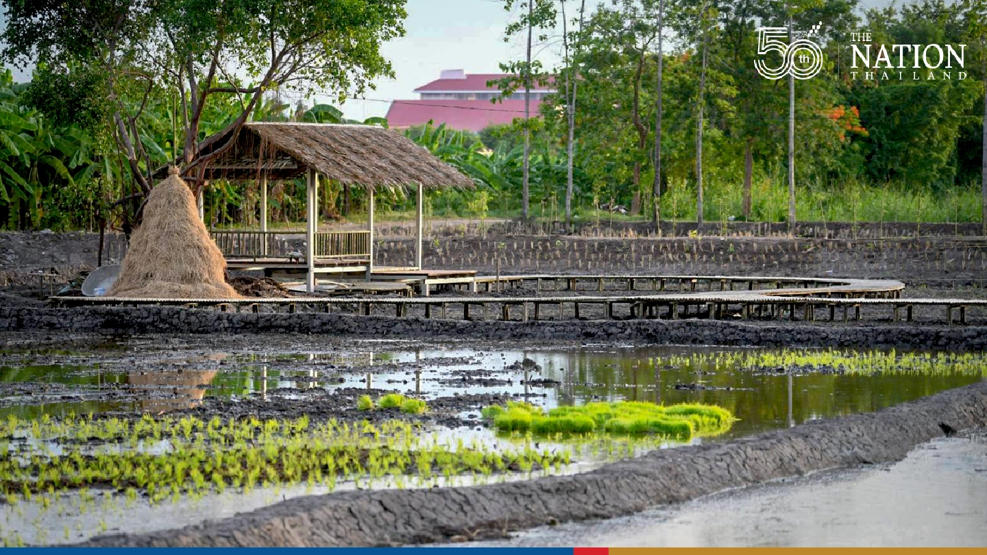 Bangkokians to get new public park by month-end