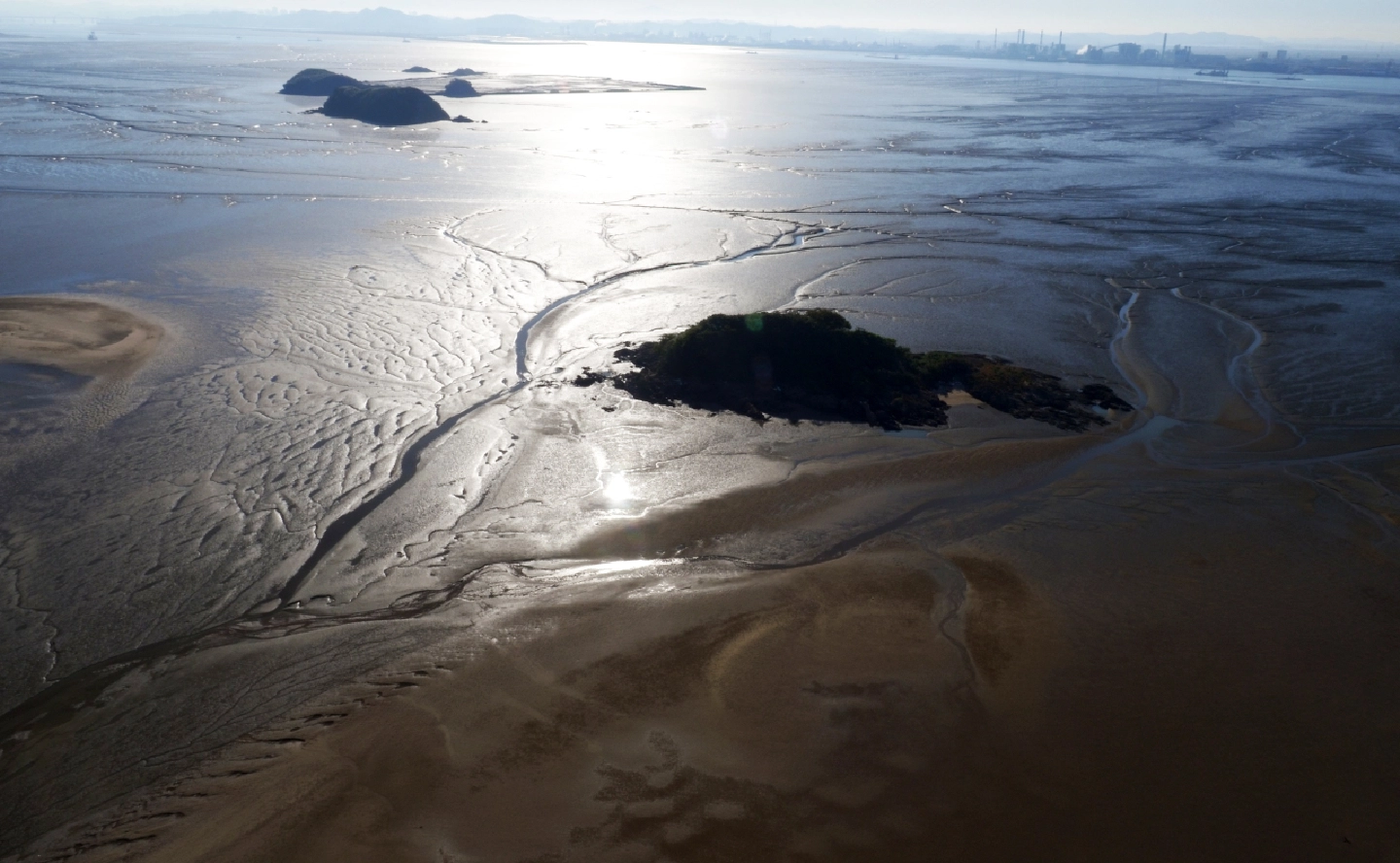S. Korean tidal flats listed as UNESCO world heritage S. Korean tidal flats listed as UNESCO world heritage