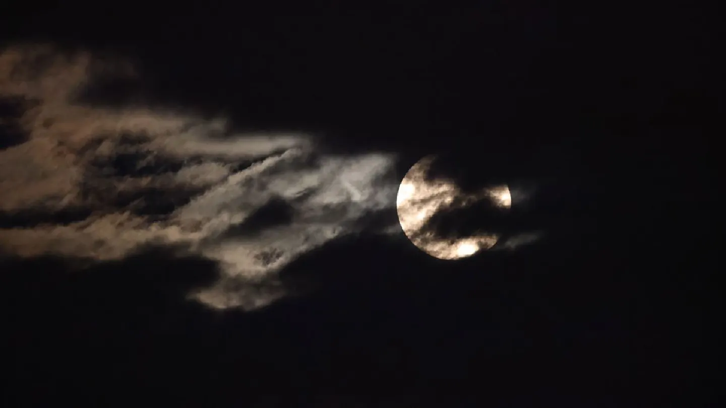 Firms from Sony to noodle maker Urge Japan to pursue moon business