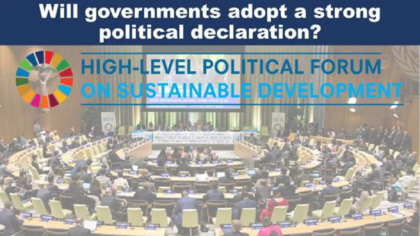Governments must adopt a strong political declaration that the global crisis mandates