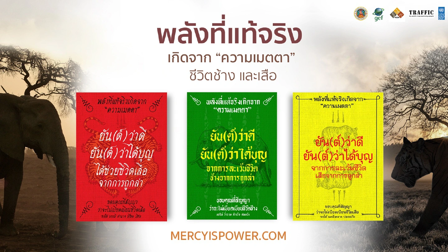 Thais urged to pledge against buying and owning ivory and tiger amulets under new ‘Mercy is Power’ campaign