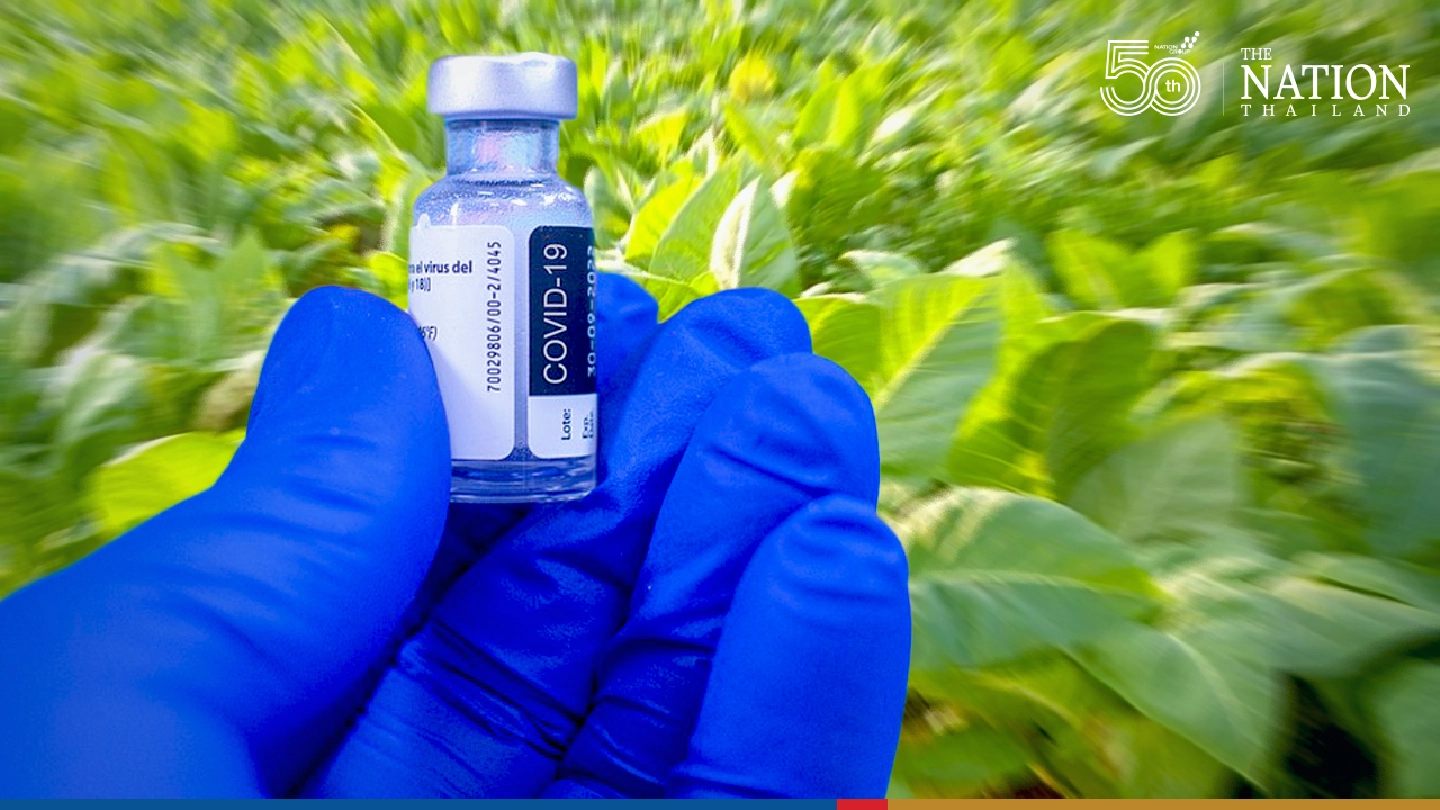 Vaccine developed by Thai startup to be tested on humans in September