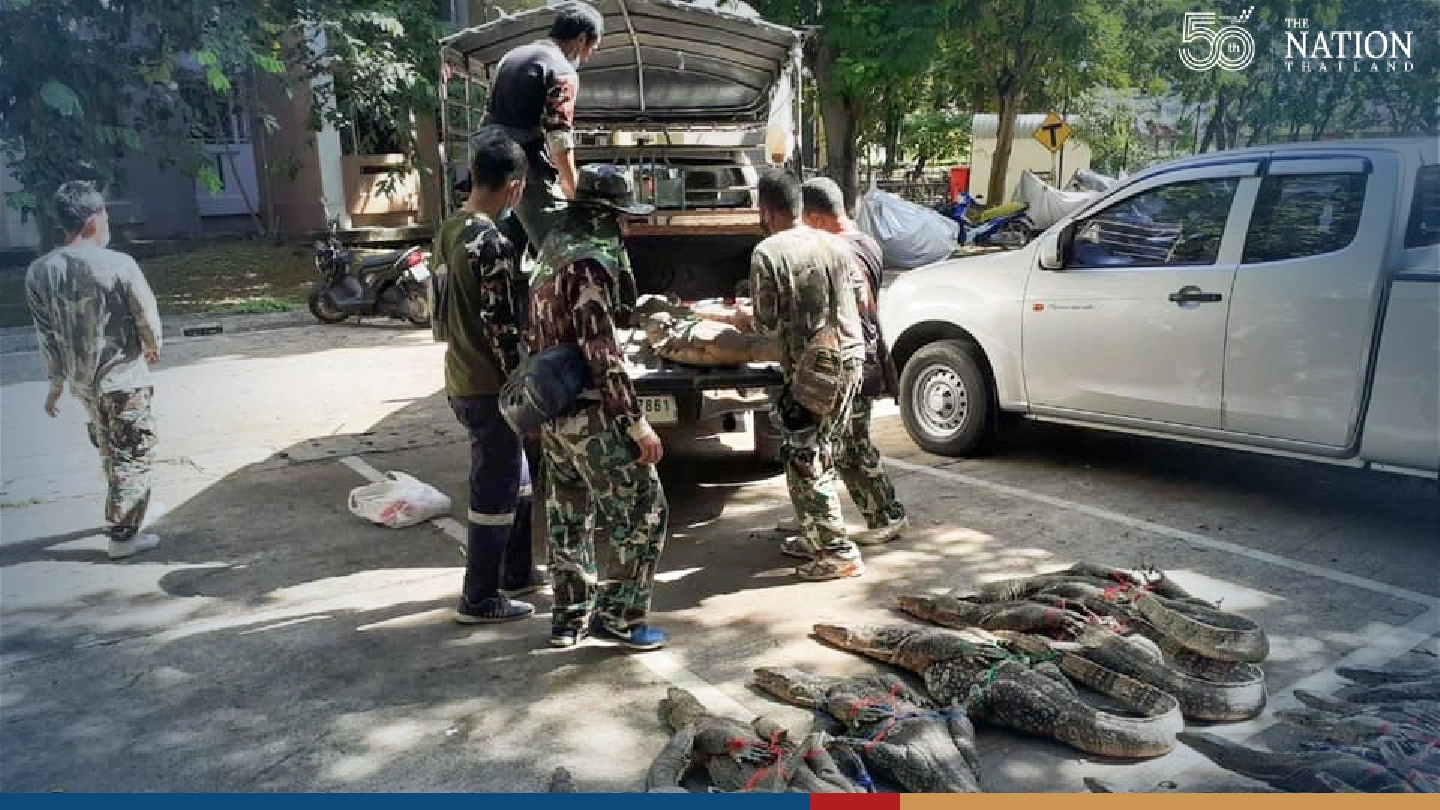 State officials catch 52 monitor lizards at two universities