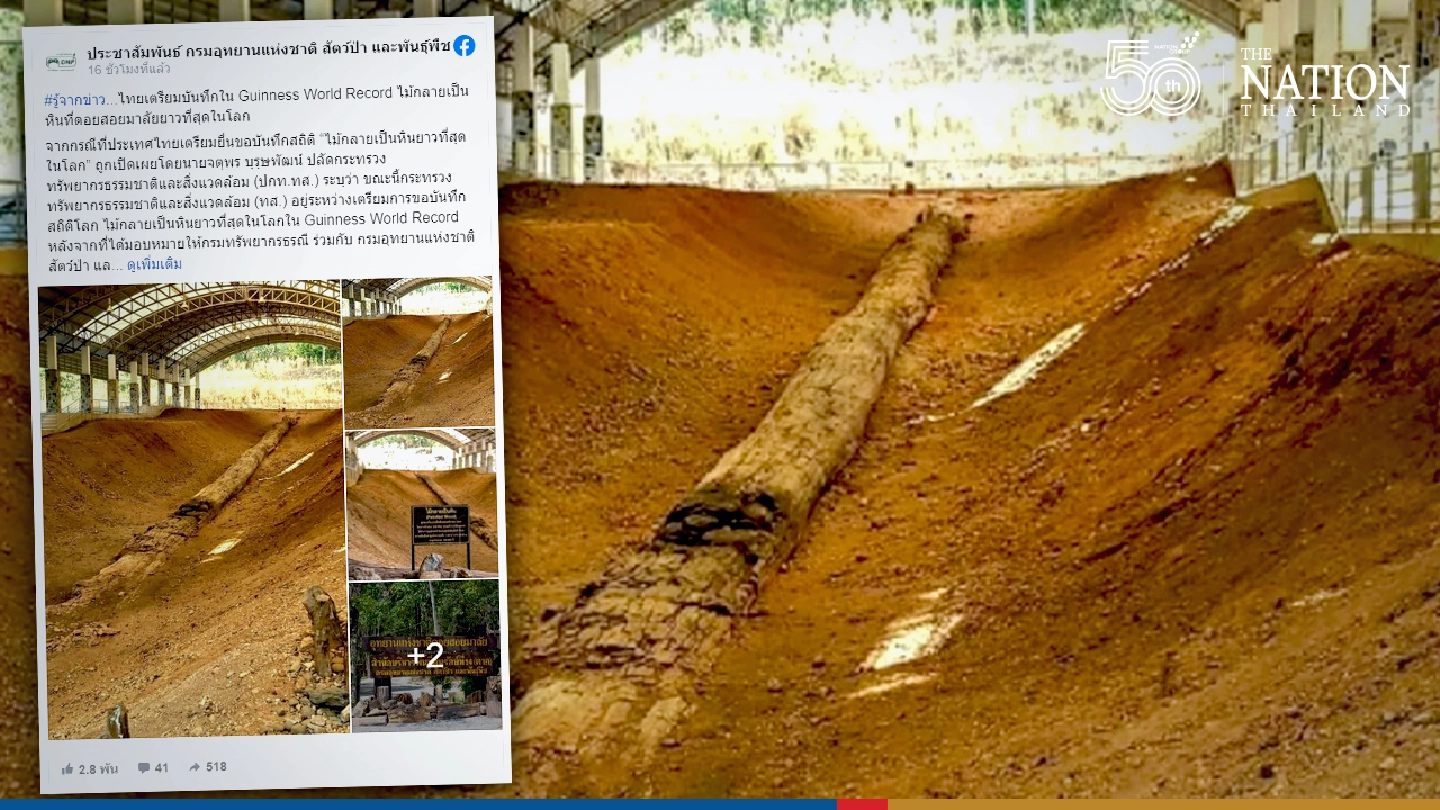 Thailand applying for Guinness World Record for longest petrified log in Tak Thailand applying for Guinness World Record for longest petrified log in Tak