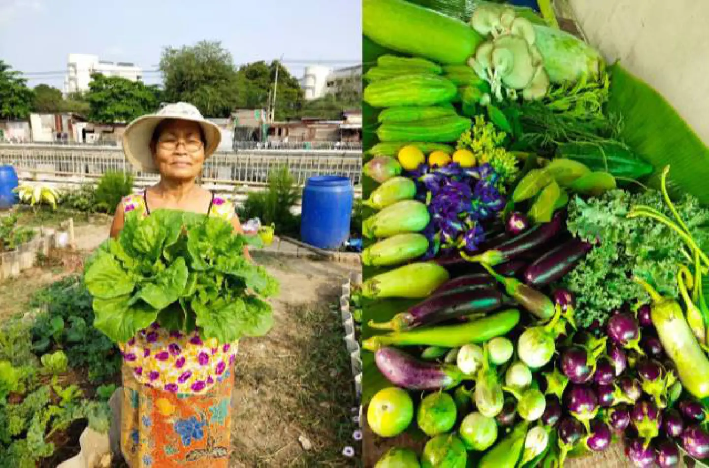 Thais eat low fruits and vegetables and too much salt, UN says