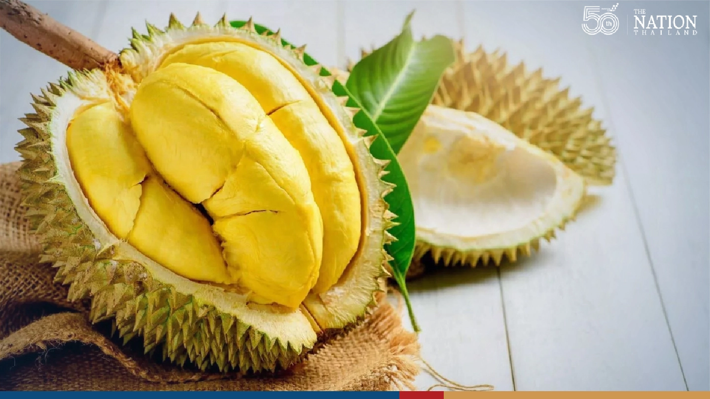 Thai durian producers urge rail link with China to tap soaring demand Thai durian producers urge rail link with China to tap soaring demand