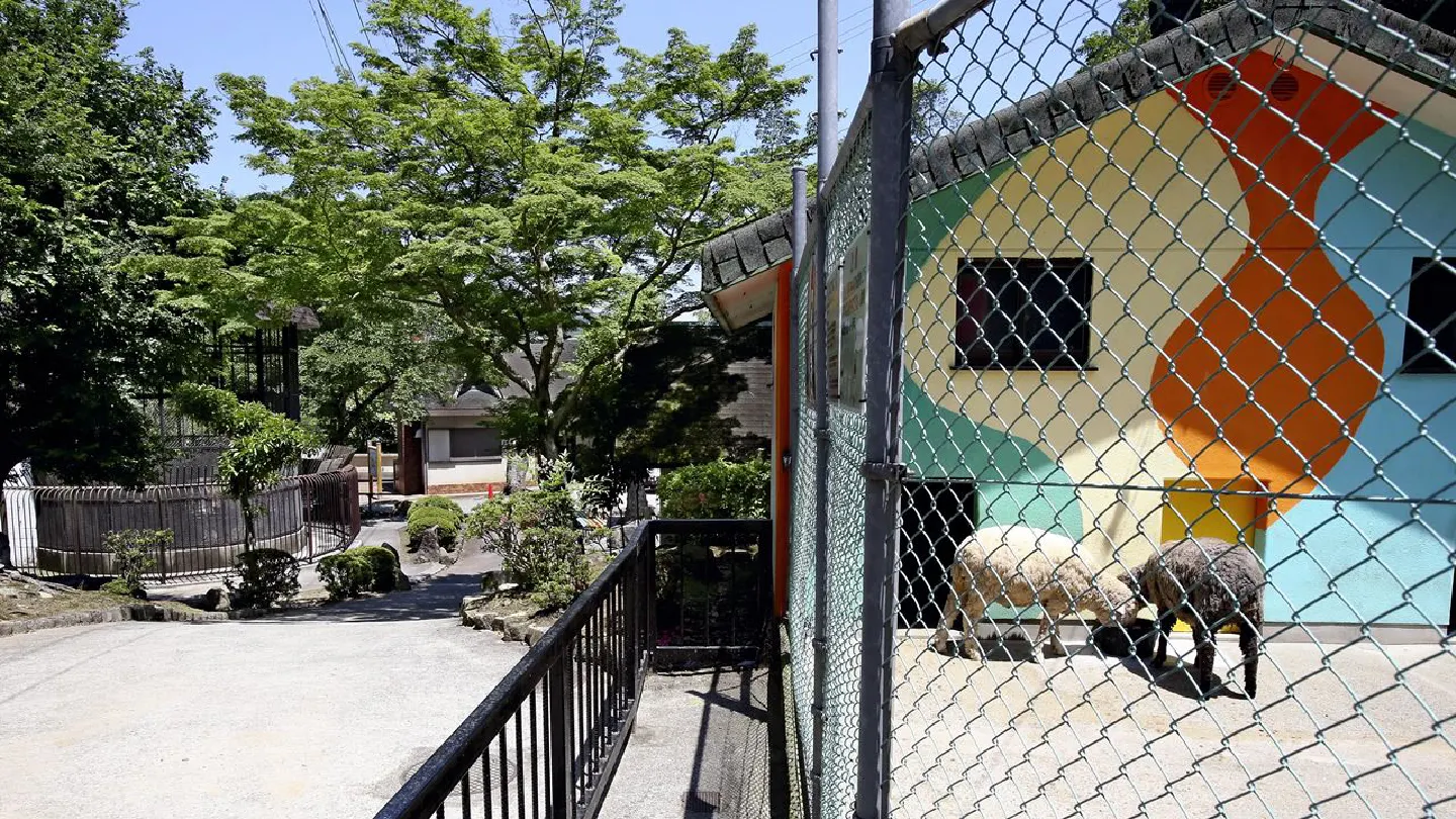 47 animals dead at Hyogo zoo; malnutrition, neglect cited