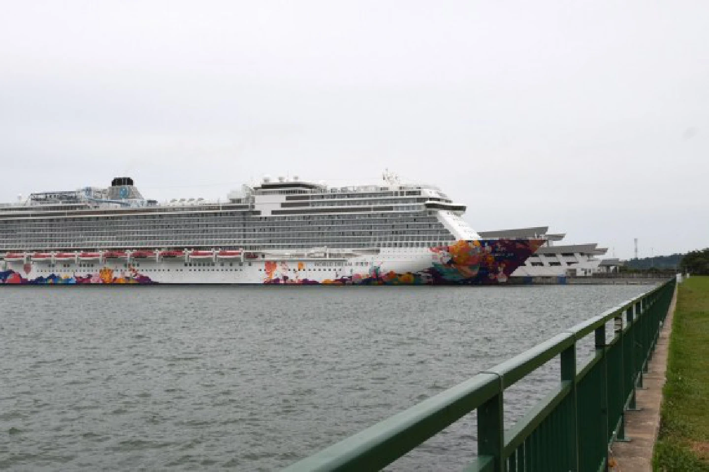 Asia Album: Cruise ship returns to Singapore after COVID-19 case found on board