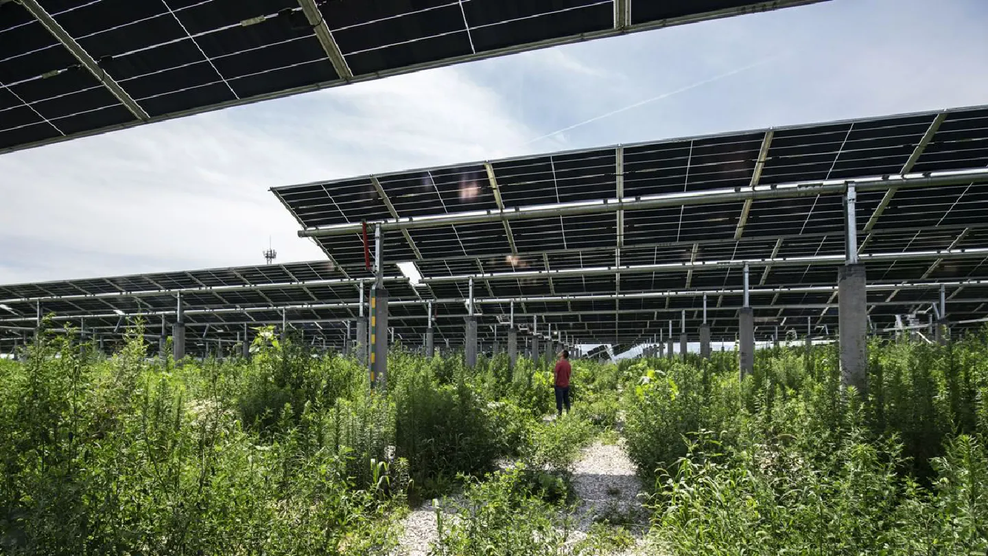Solar is dirt-cheap and about to get even more powerful Solar is dirt-cheap and about to get even more powerful