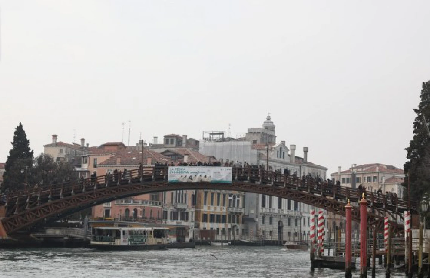 Venice bans large cruise ships to save World Heritage title amid mixed reviews Venice bans large cruise ships to save World Heritage title amid mixed reviews