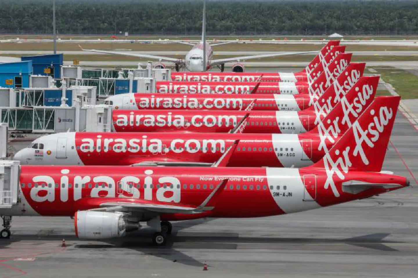 AirAsia sees improvement in key operating entities AirAsia sees improvement in key operating entities