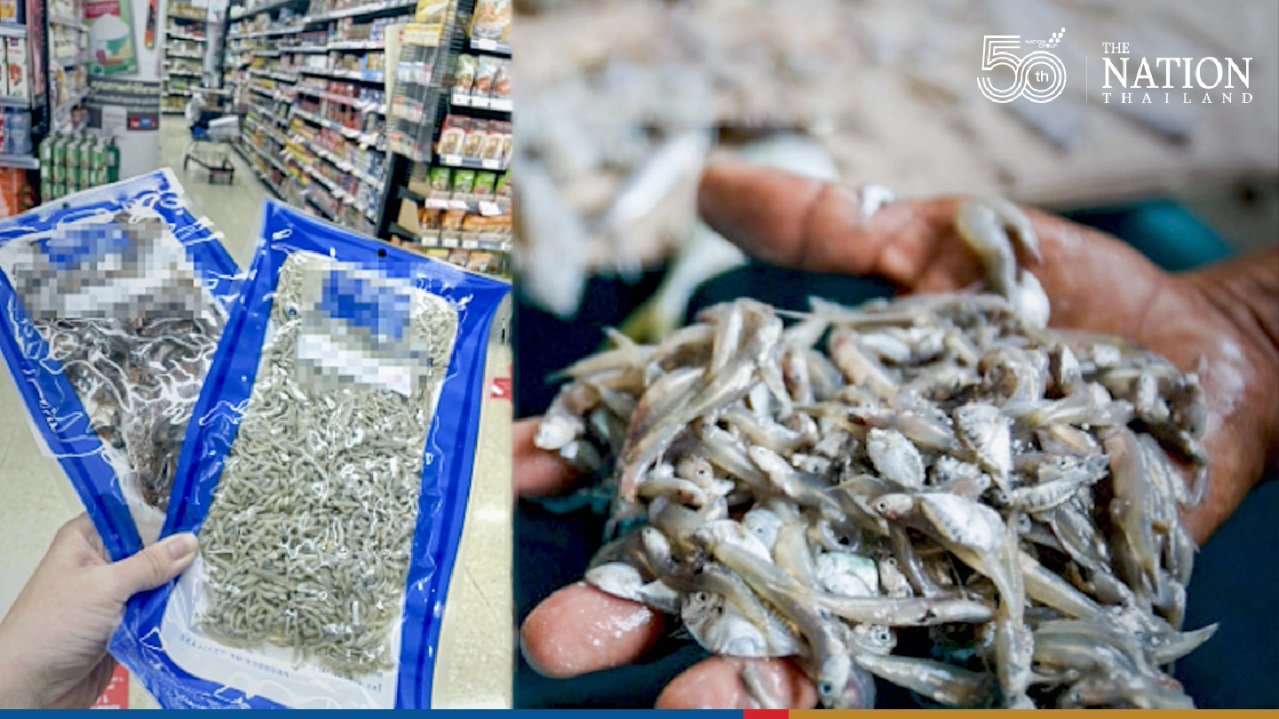 CSO Coalition seeks halt in sales of young fish, warns of extinction