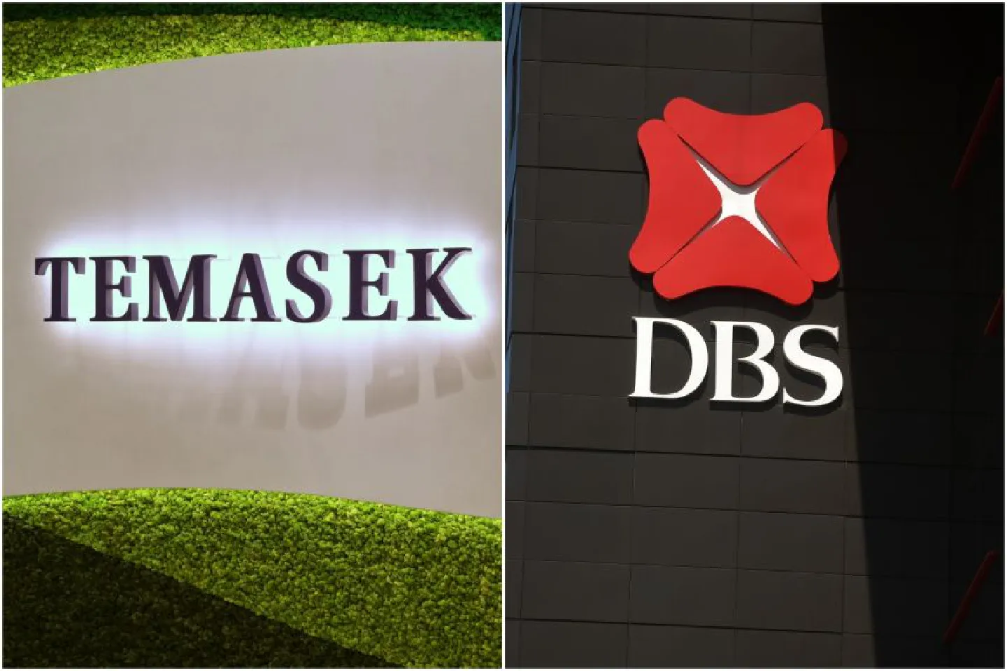 Temasek, DBS launch $677m debt financing platform for tech firms in Asia
