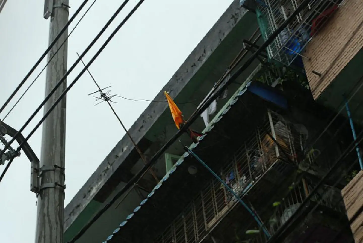 Some houses in Yangon raise yellow flags to ask for help Some houses in Yangon raise yellow flags to ask for help