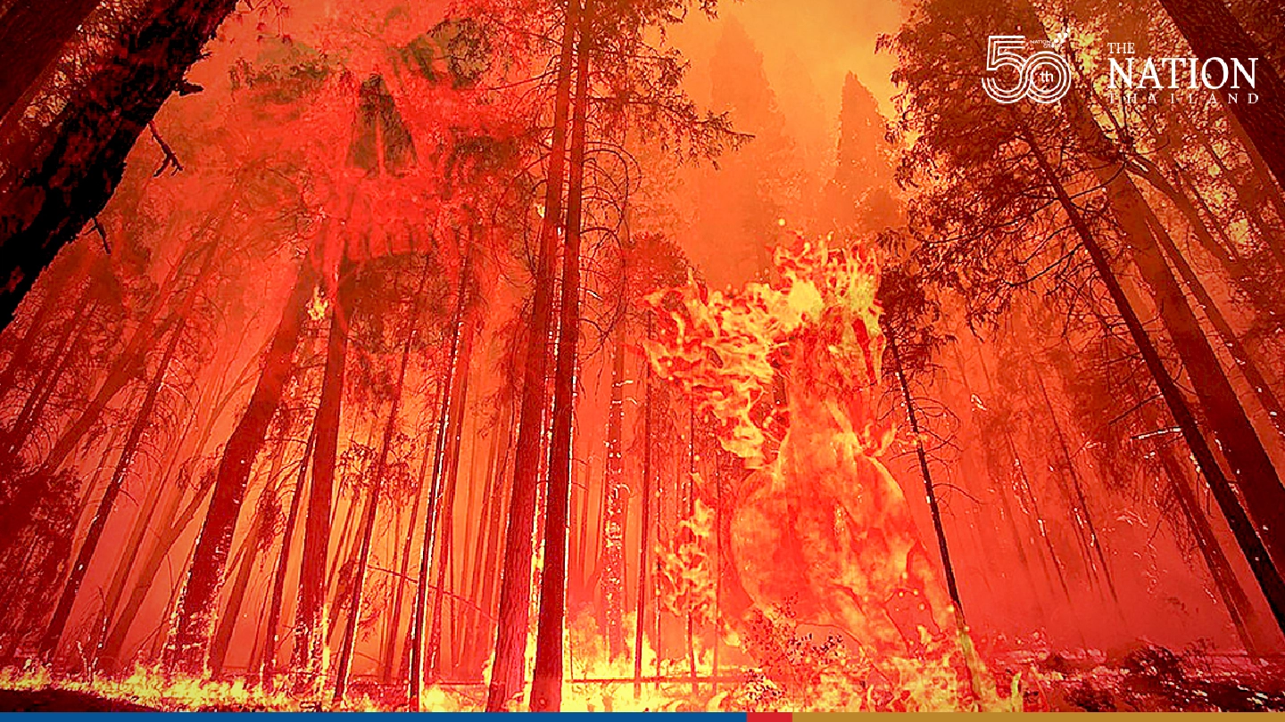 Wildfires in Algeria kill 42, including two dozen soldiers