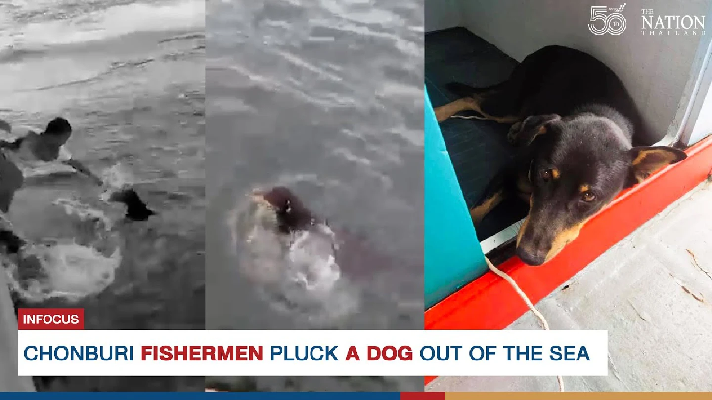 Chonburi fishermen pluck a dog out of the sea