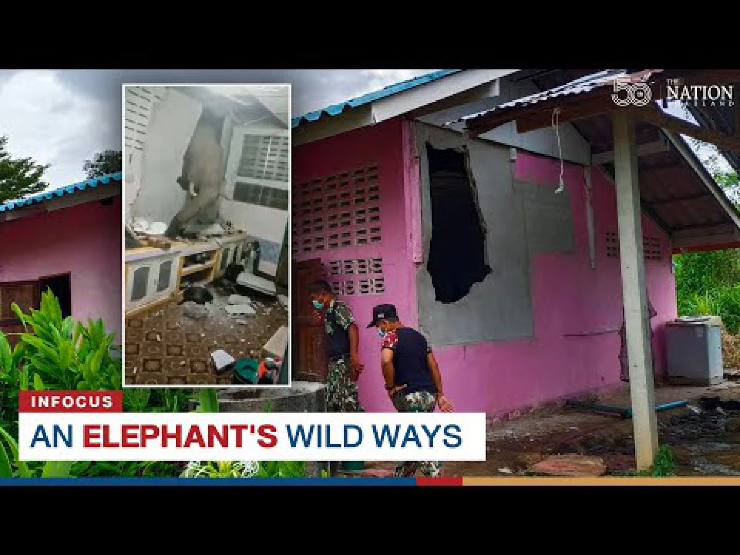 An elephants wild ways An elephants wild ways