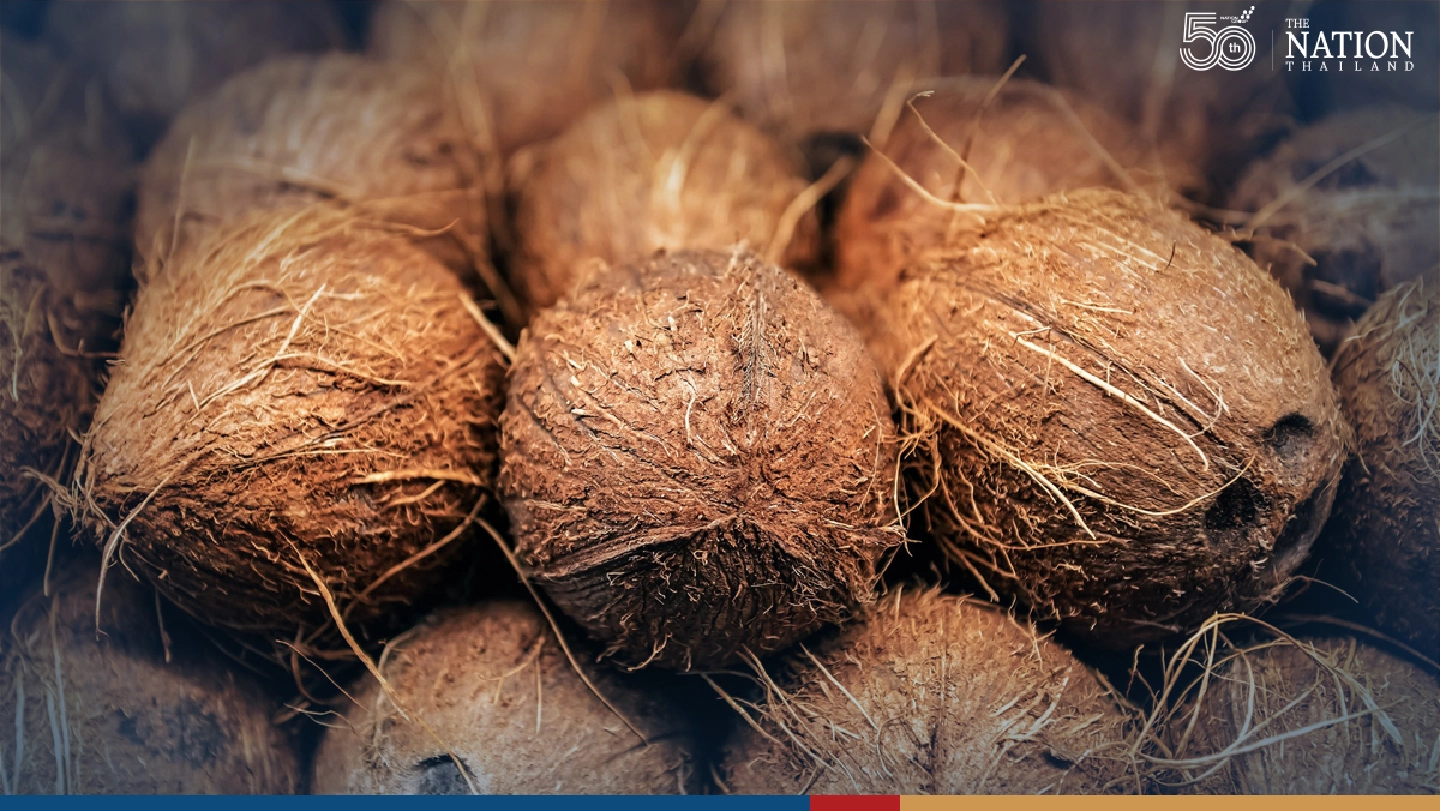 Thailand to import 7,800 tonnes of coconuts despite falling price