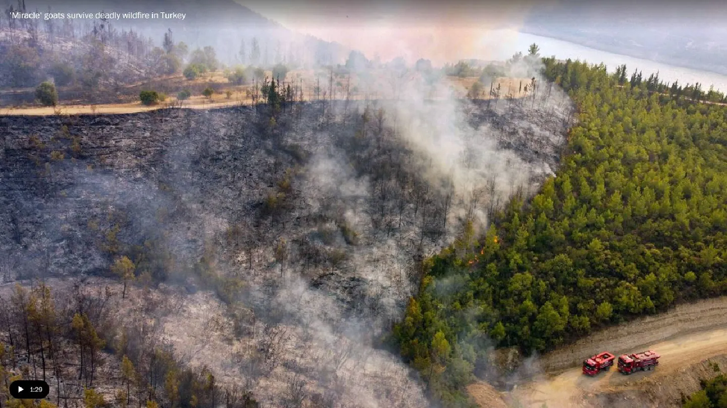 As wildfires rage in Turkey and southern Europe, local officials plead for help As wildfires rage in Turkey and southern Europe, local officials plead for help