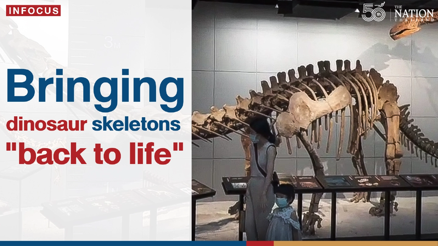 Bringing dinosaur skeletons "back to life"