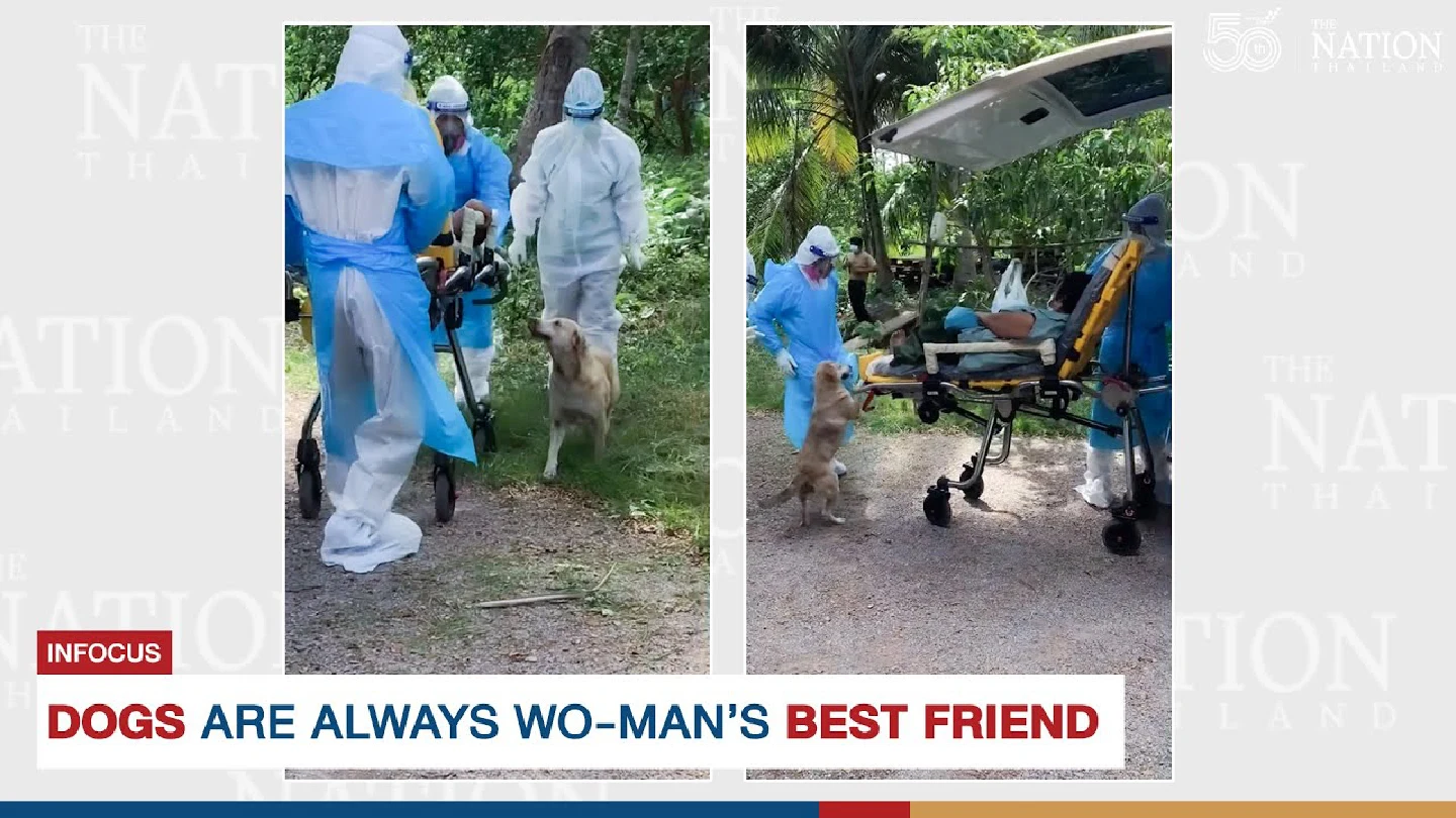 Dogs are always wo-man’s best friend