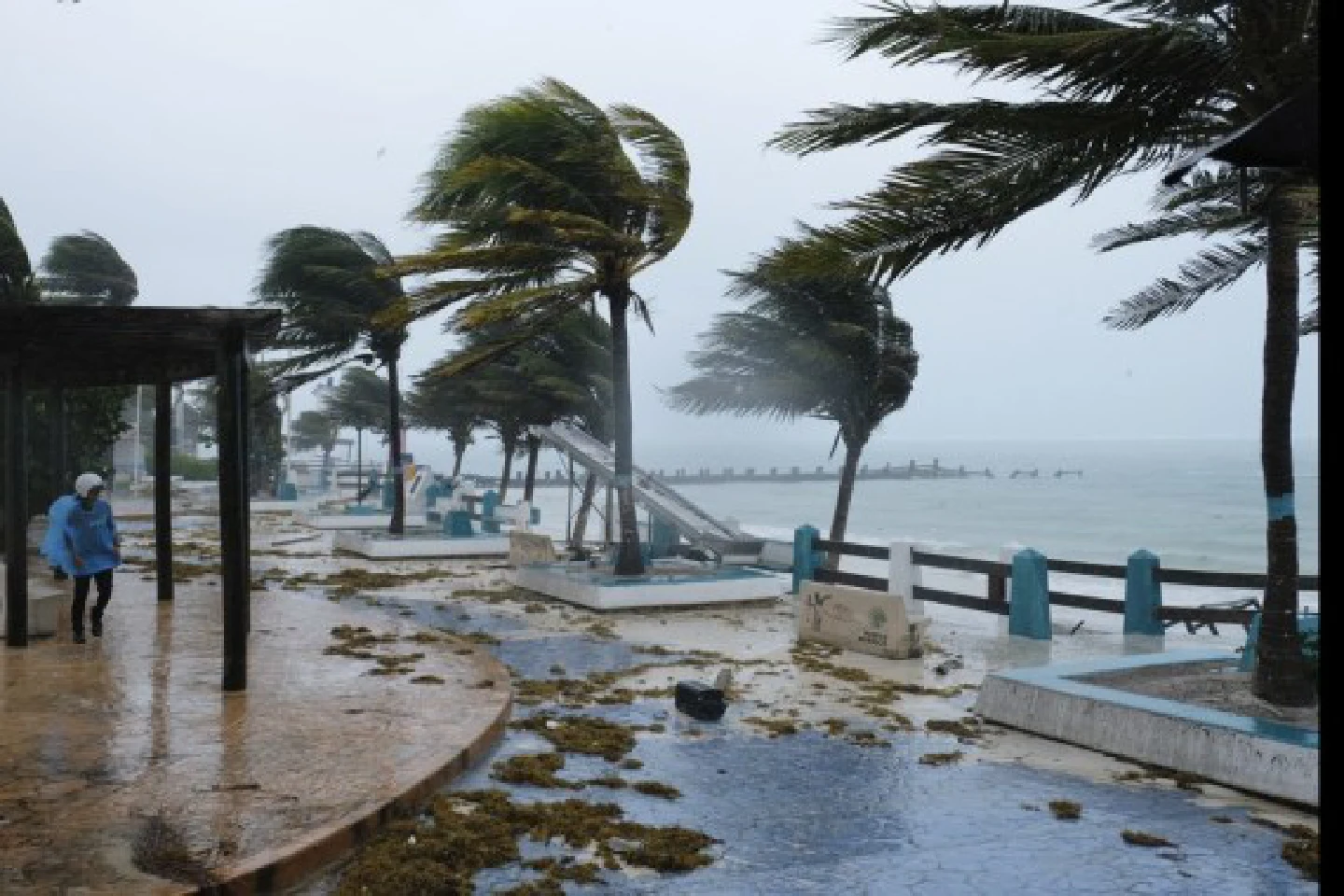 At least 8 dead, 3 missing after Hurricane Grace in Mexico At least 8 dead, 3 missing after Hurricane Grace in Mexico