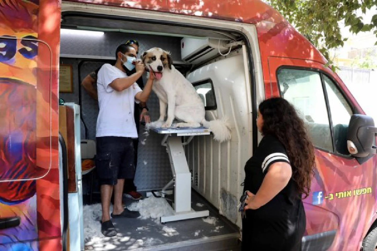 Mideast in Pictures: Dogs get new haircut in Israel on Intl Dog Day