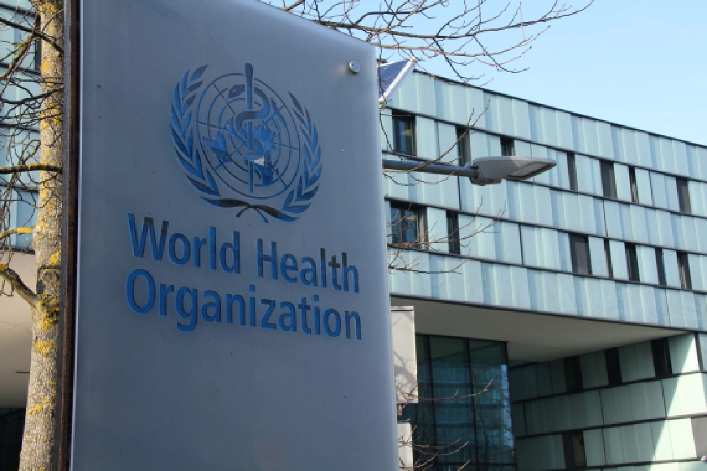 WHOs plan on second-phase COVID-19 origin tracing politicized: Chinese embassy