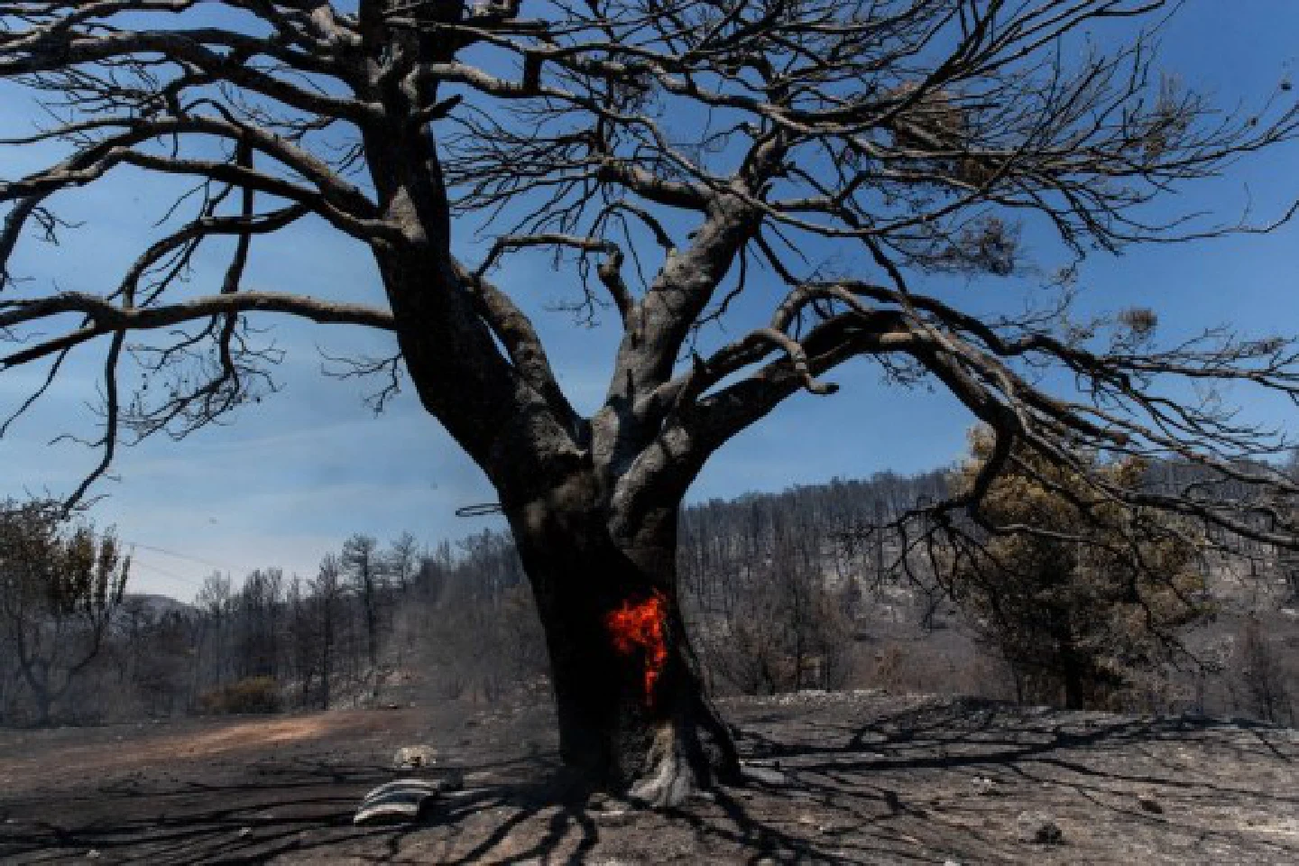 Wildfires rage in several countries as heatwave hits Southern Europe