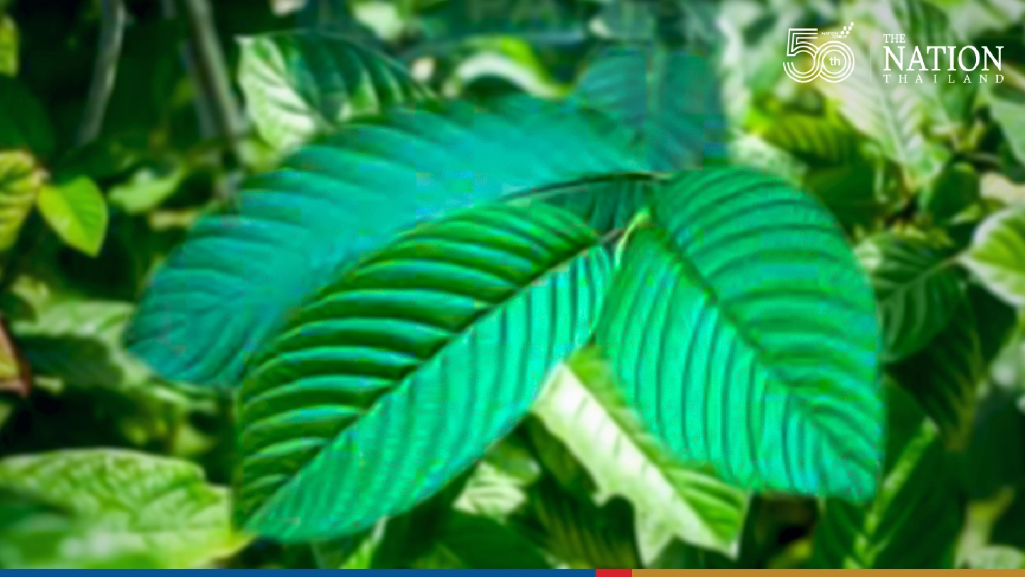 How lift of ban on kratom affects us