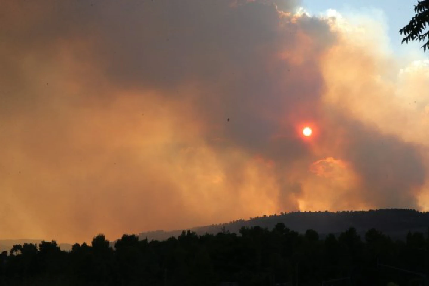 Israel mulls calling for intl help to curb massive wildfire