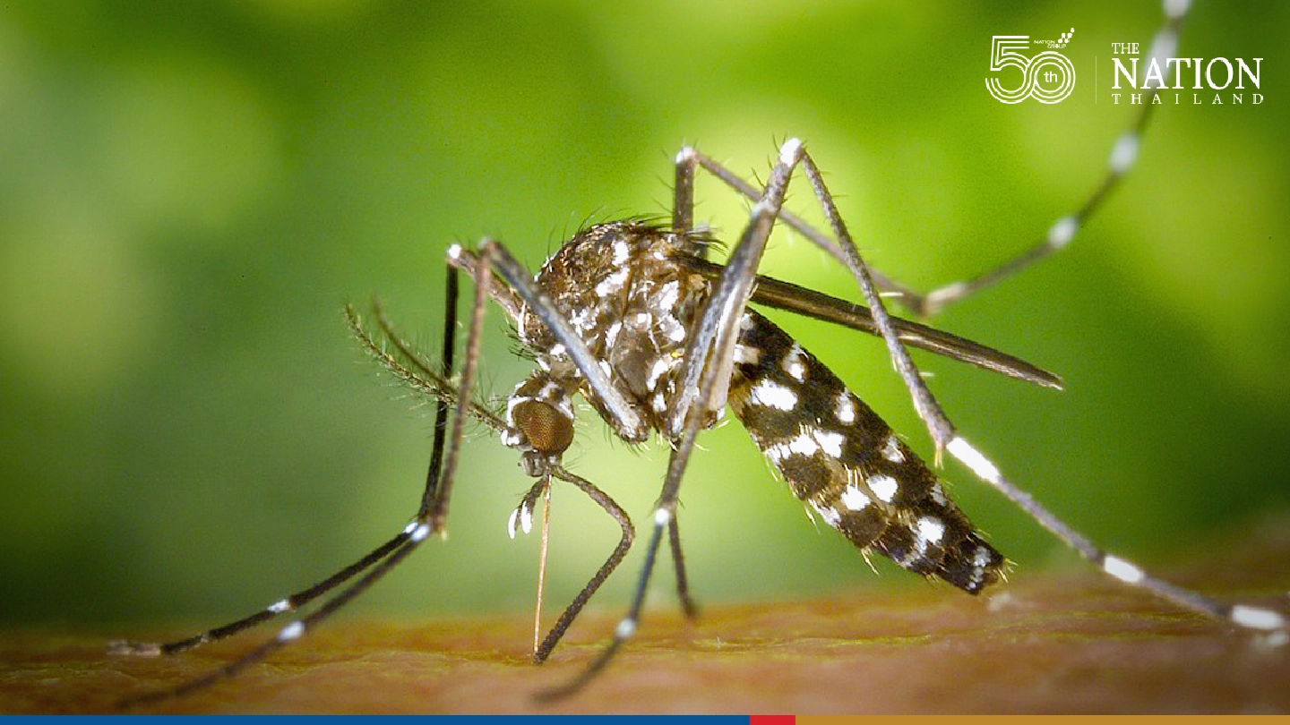 Bangkok now struggling with surge in dengue patients Bangkok now struggling with surge in dengue patients