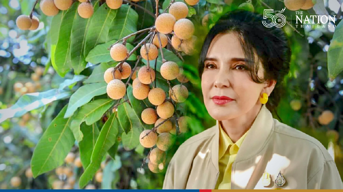 China okays longan shipments from 56 exporters