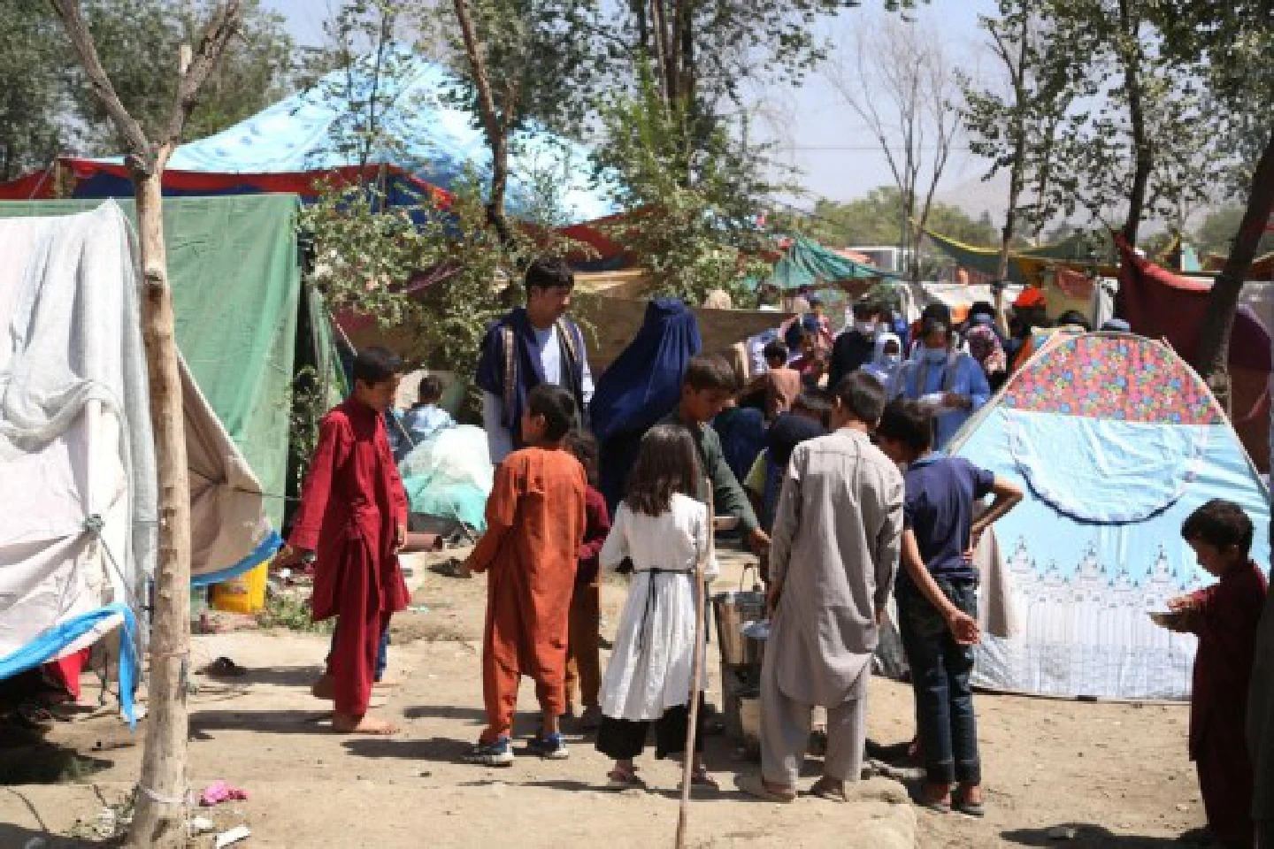12.2 mln people in Afghanistan acutely food insecure: UN 12.2 mln people in Afghanistan acutely food insecure: UN