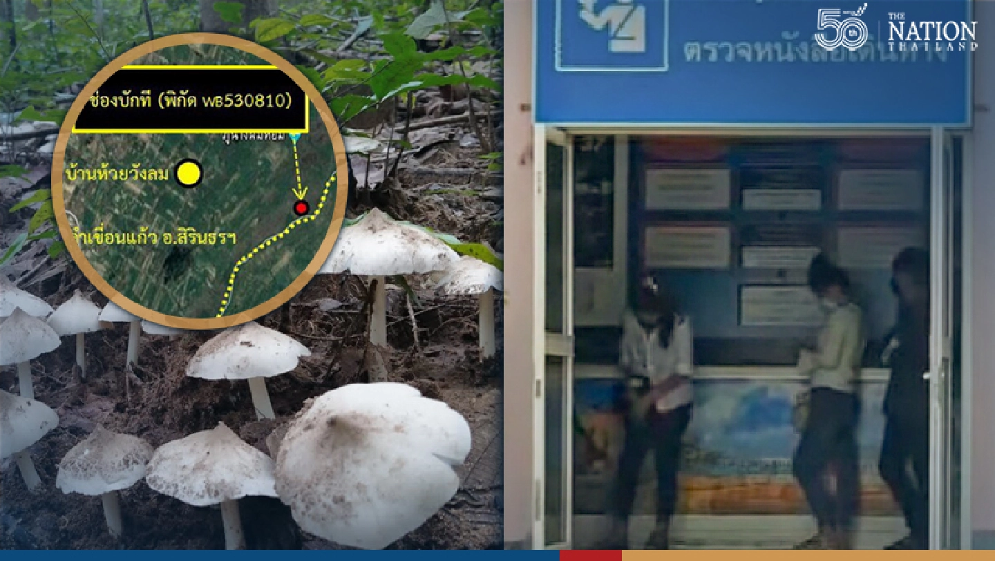 Thai mushroom-pickers who strayed into Laos not injected with Pfizer: Foreign Ministry Thai mushroom-pickers who strayed into Laos not injected with Pfizer: Foreign Ministry