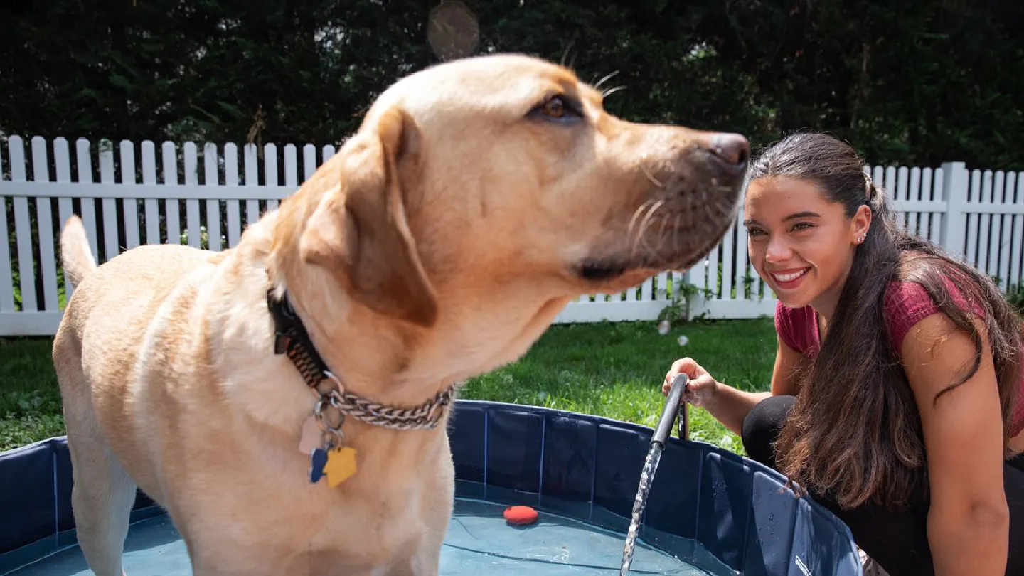In Japan, disability advocates hope the Paralympics will showcase the pawsomeness of service dogs