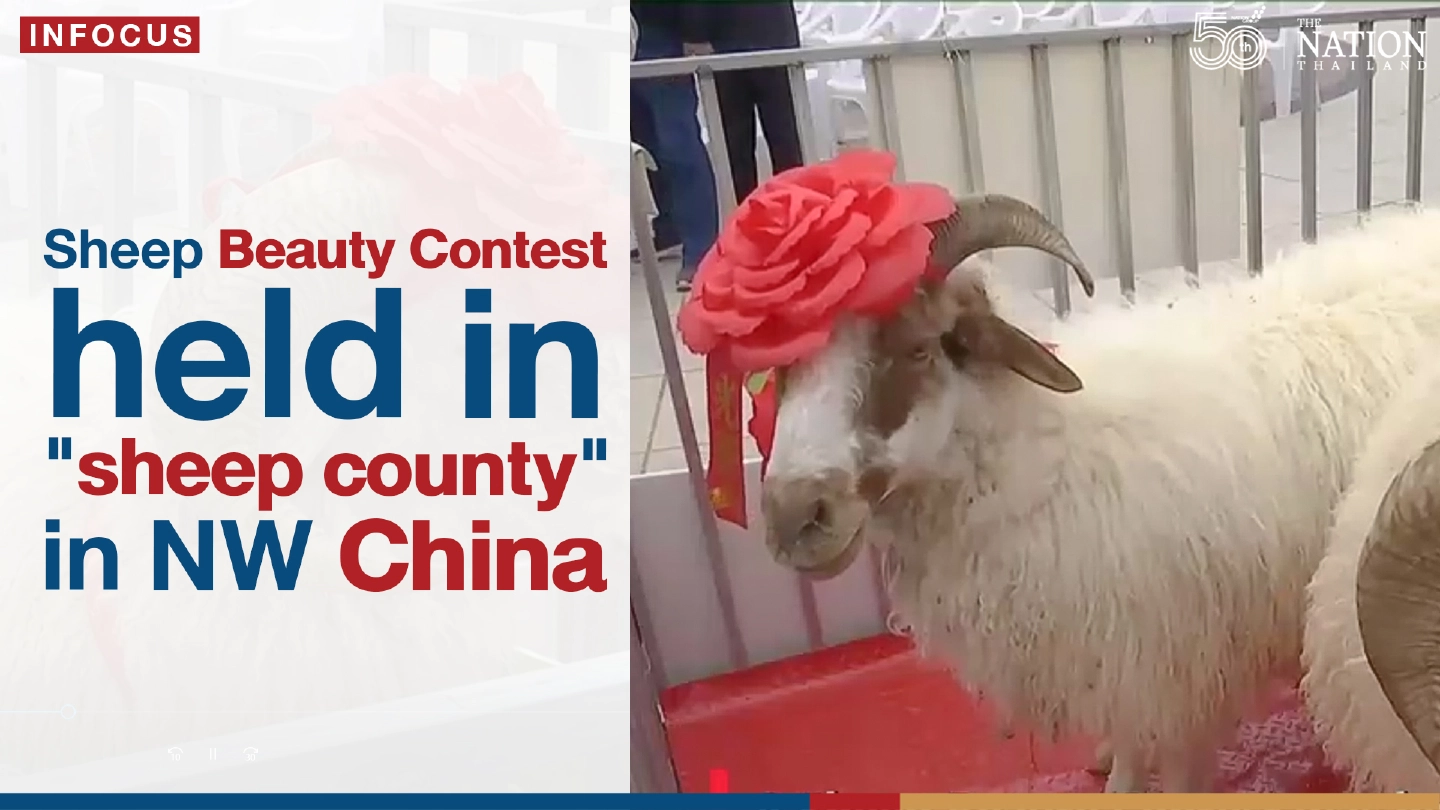 Sheep Beauty Contest held in "sheep county" in NW China