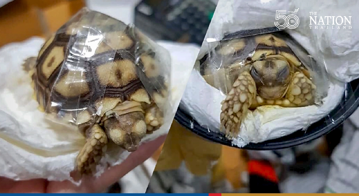 FB user lashes out at parcel shipping of living animals