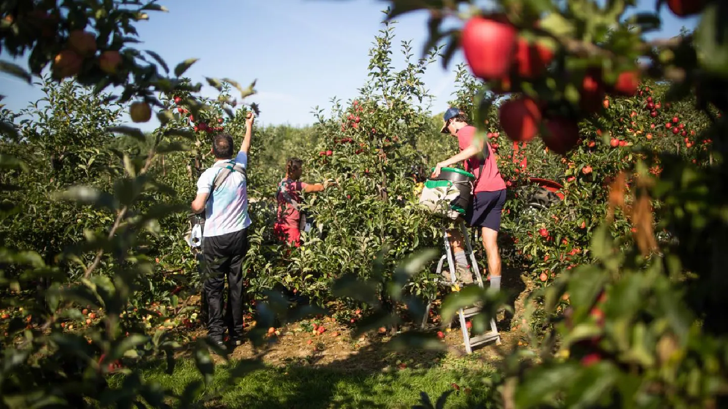 Your food prices are at risk as the world runs short of workers