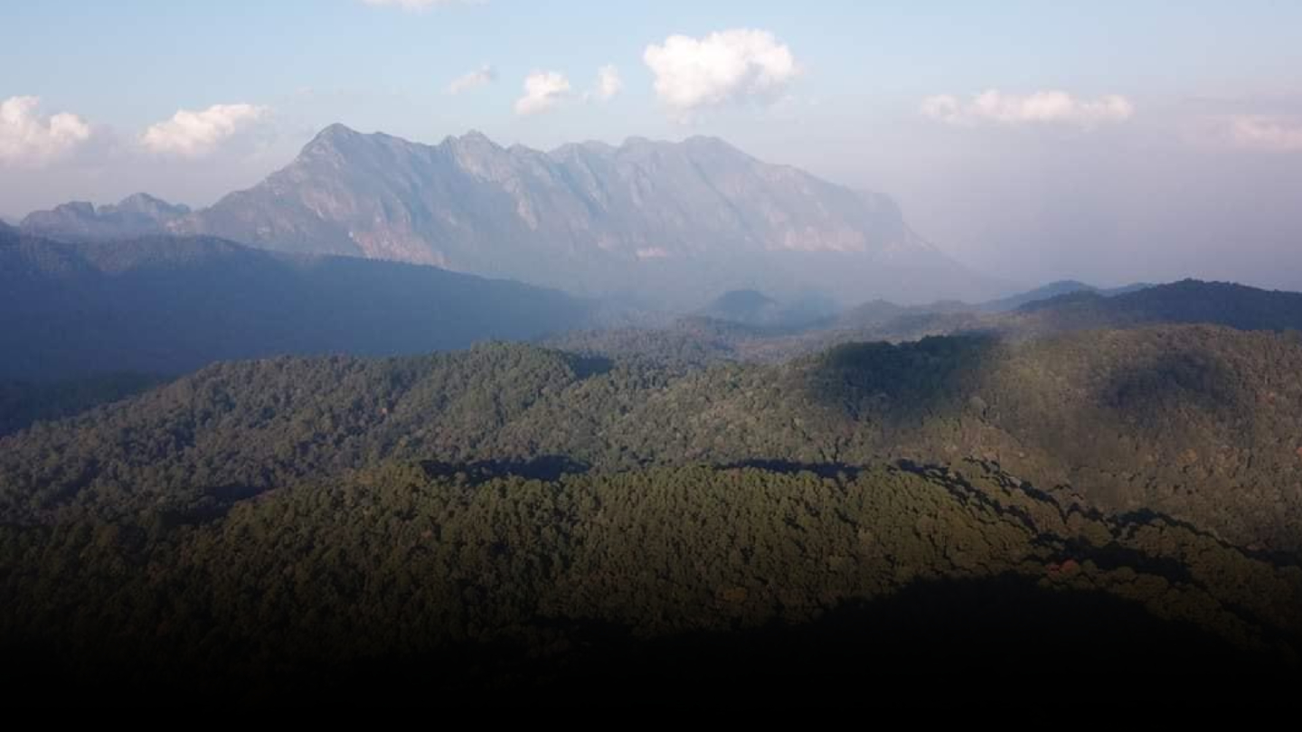 Unesco declares Chiang Mai’s Doi Chiang Dao as new biosphere reserve