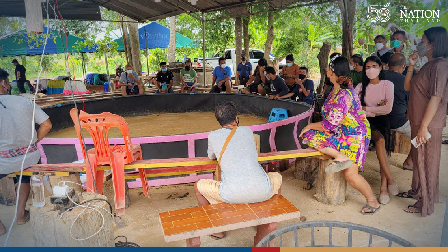 10 gamblers arrested in raid on Phatthalung cockfighting stadium 10 gamblers arrested in raid on Phatthalung cockfighting stadium