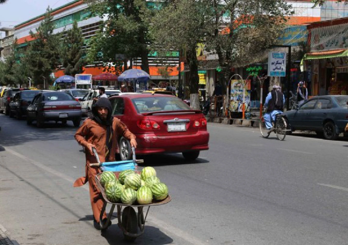 Food, job insecurity primary concern in Afghanistan: WFP Food, job insecurity primary concern in Afghanistan: WFP