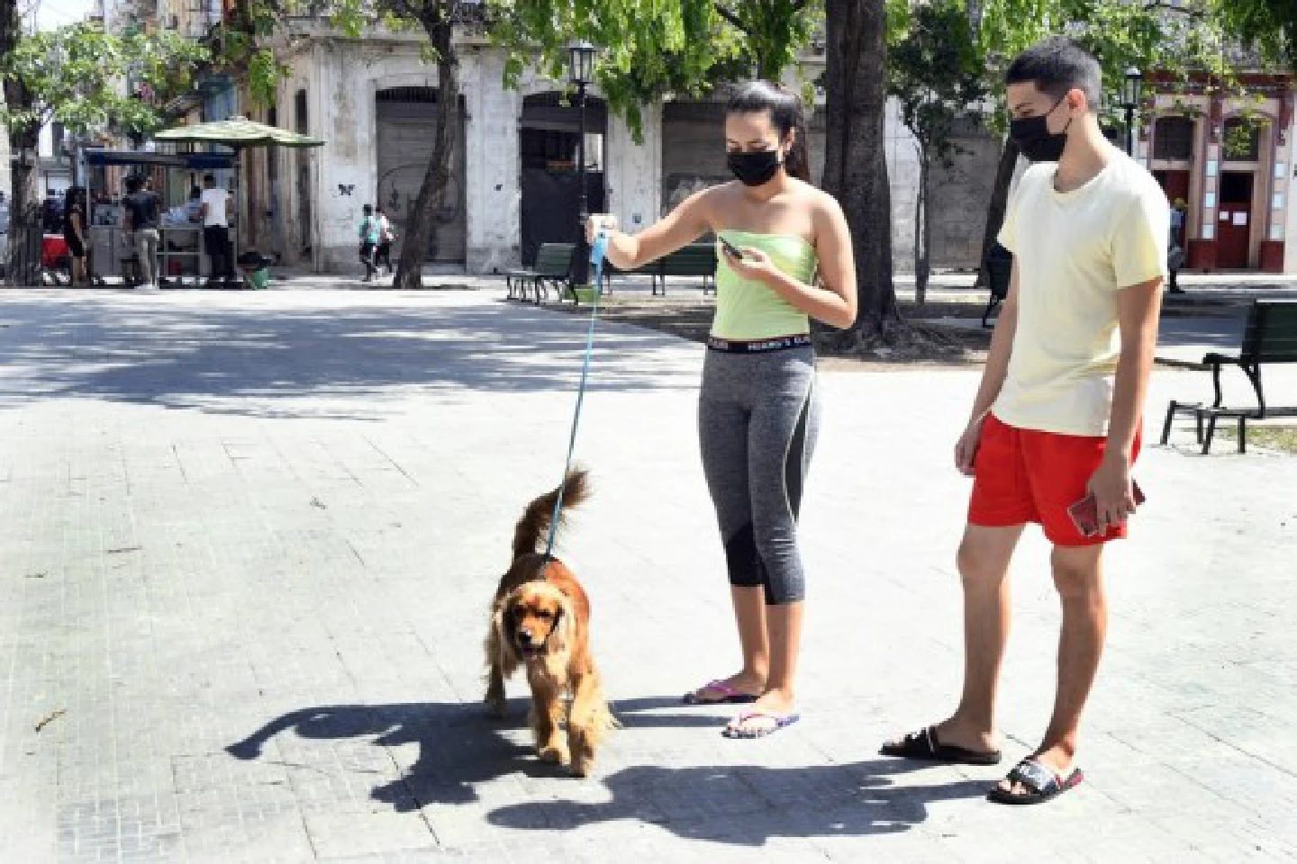 Cuba sees over 8,000 new COVID-19 cases in one day