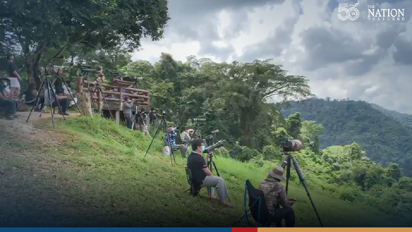 Khao Yai draws a rush of visitors as national park reopens its doors