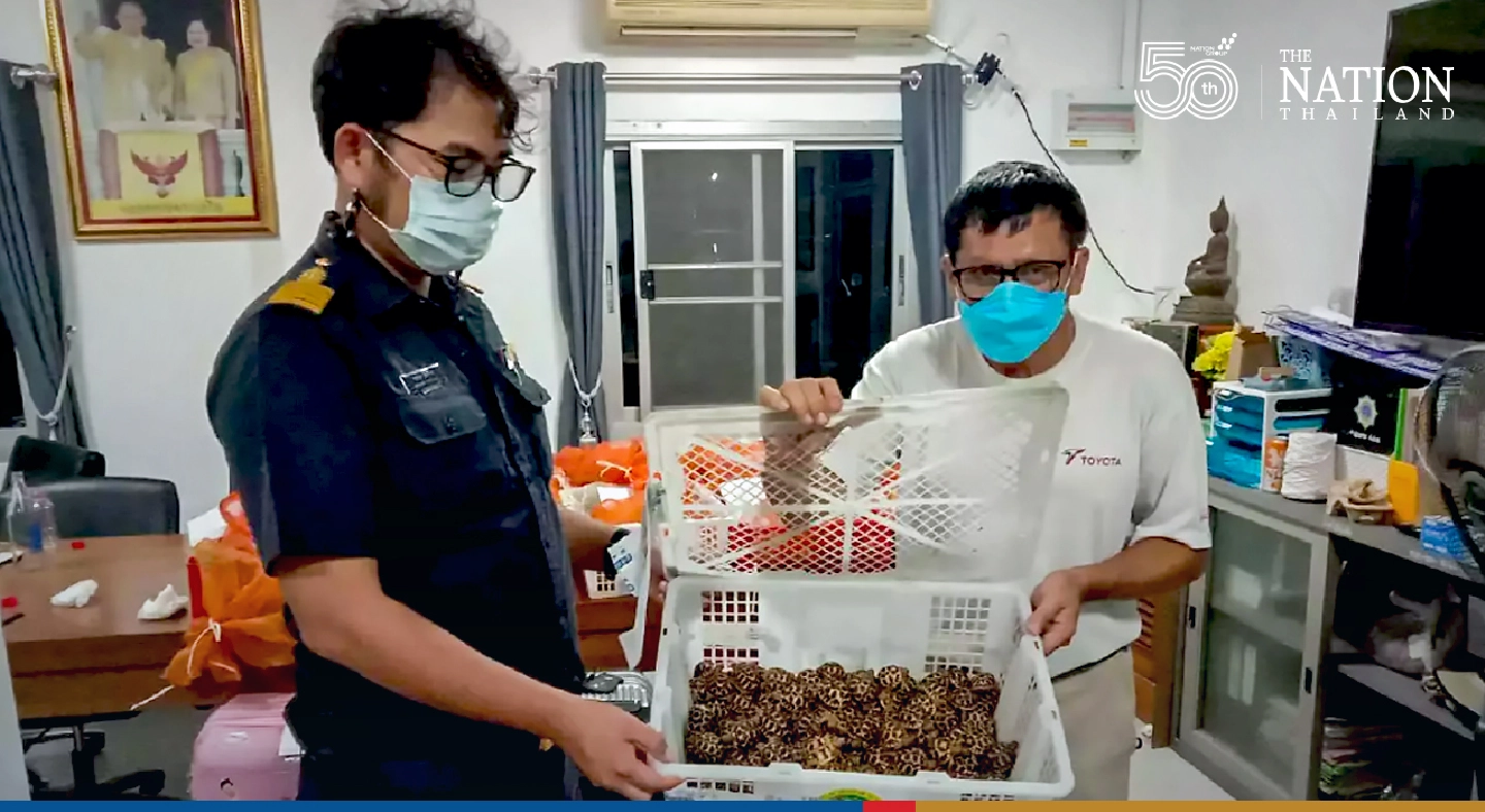 Tak police seize over 9,000 smuggled turtles worth up to THB1.5m
