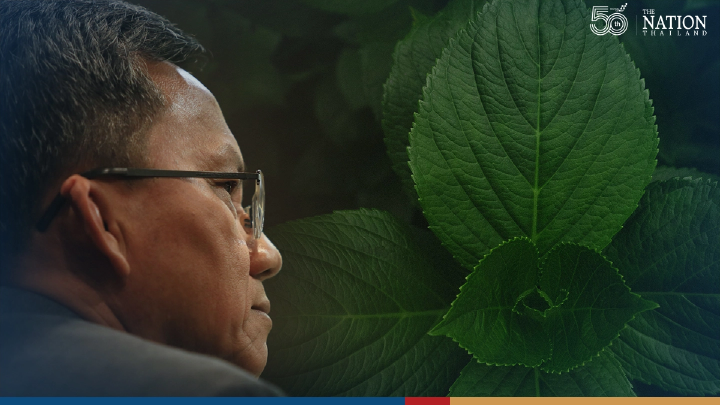 Kratom can be grown, consumed and sold, ‘but not processed yet’