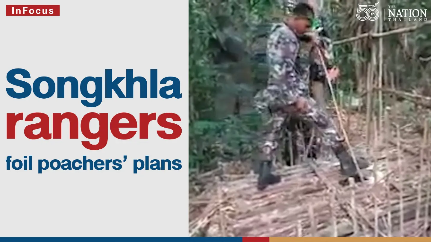 Songkhla rangers foil poachers’ plans