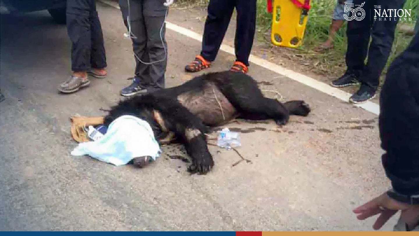 Bear with failing eyesight rescued from Sa Kaew village Bear with failing eyesight rescued from Sa Kaew village